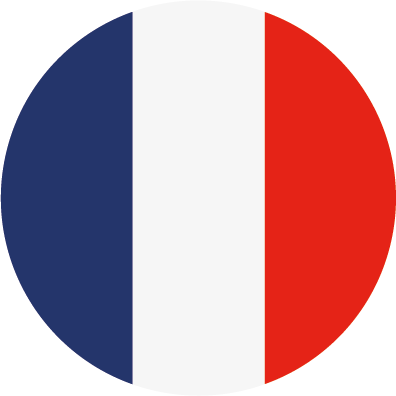 frlanguage flag icon